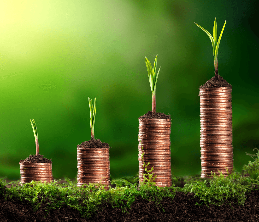 EQ Individuals NS&I’s new Green Savings Bonds details revealed EQ