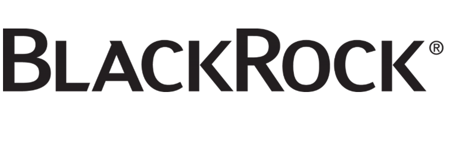Blackrock Investment Group 46
