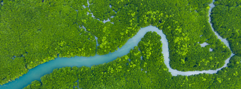 Sustainability visual